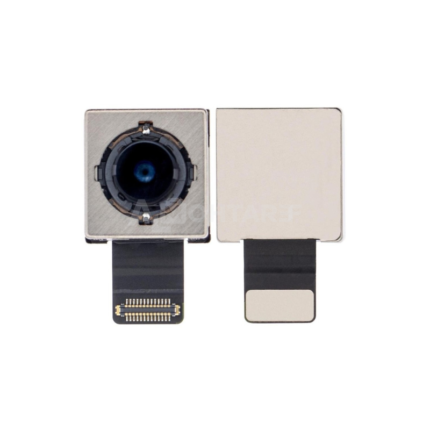 iPhone XR Back Camera