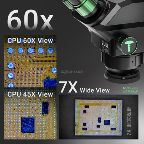 download - 2025-08-03T234908.047 download - 2025-08-03T234908.047