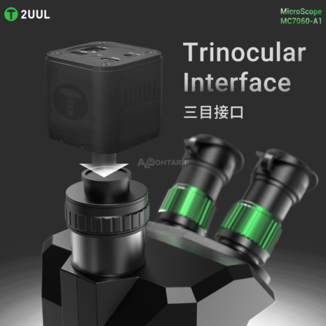 download - 2025-08-03T234921.011 download - 2025-08-03T234921.011