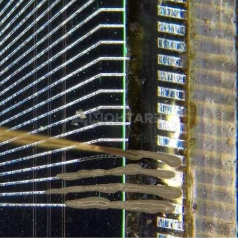 EMAEJH (27) EMAEJH (27)