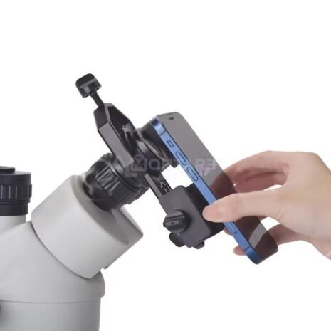 download_-_2024-12-18T020920.660-transformed download_-_2024-12-18T020920.660-transformed