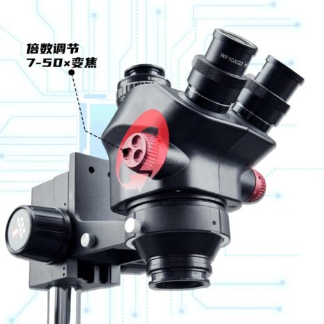 download - 2025-03-20T033735.136 download - 2025-03-20T033735.136