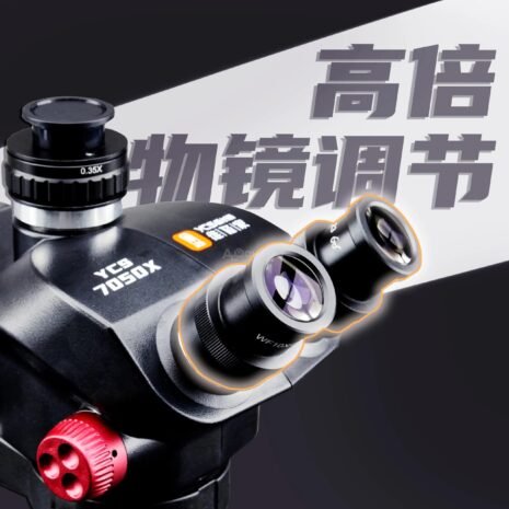 download - 2025-03-20T033735.708 download - 2025-03-20T033735.708