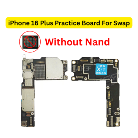 Your paragraph text (10)