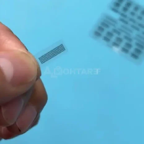 download-2025-06-23T061131.746 download-2025-06-23T061131.746